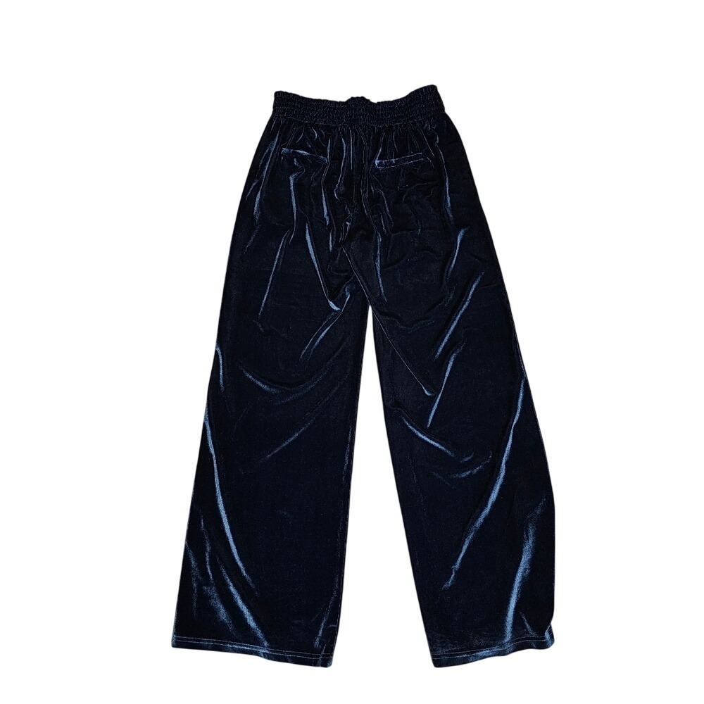 Suzanne Betro Velour Emerald Blue Pallazo Pants Elastic Waist Wide Leg 1x